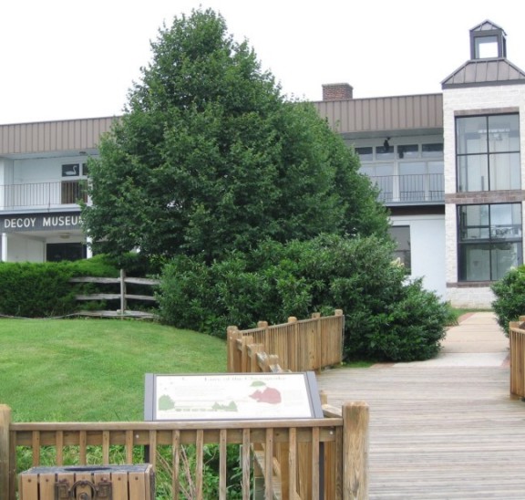 Carvers of Chesapeake Bay Area, Decoy Museum, Havre de Grace Photograph